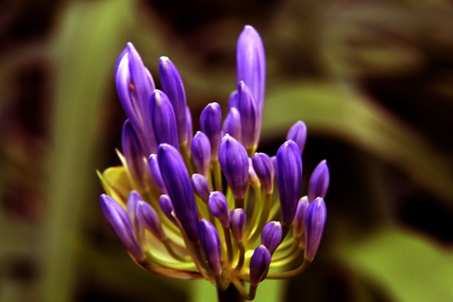 祝贺，加克波被任命为宾利汽车英国及欧洲区品牌大使