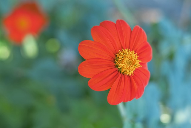 每体：巴萨考虑明年夏天去巴西进行季前训练和比赛