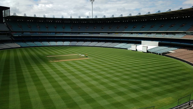 世界杯场外趣闻集锦